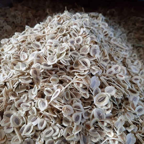 بذور كاشم رومي المجففة / أنجدان - ٦٠٠ غرام