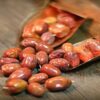 ثمار الزيتون الروسي المجفف  - 2500 غرام