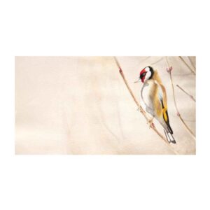الرسم التصويري الزيتي الواقعي الأصلي على الورق المقوى – طائر
