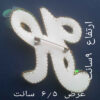 دبوس مزخرف بالخرز النسائي – طراز حرف H
