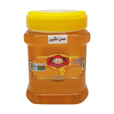 عسل الطلح الإيراني – حلاوة نباتية طبيعية (1000 جرام)