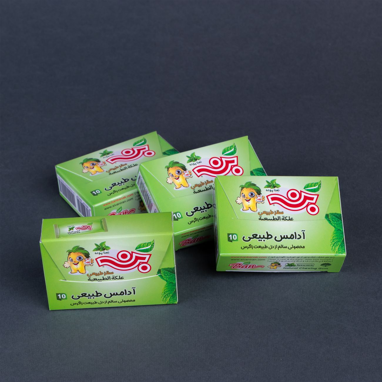 علكة طبيعية بنكهة النعناع البري (الفسوفون) – عبوة من 12 قطعة